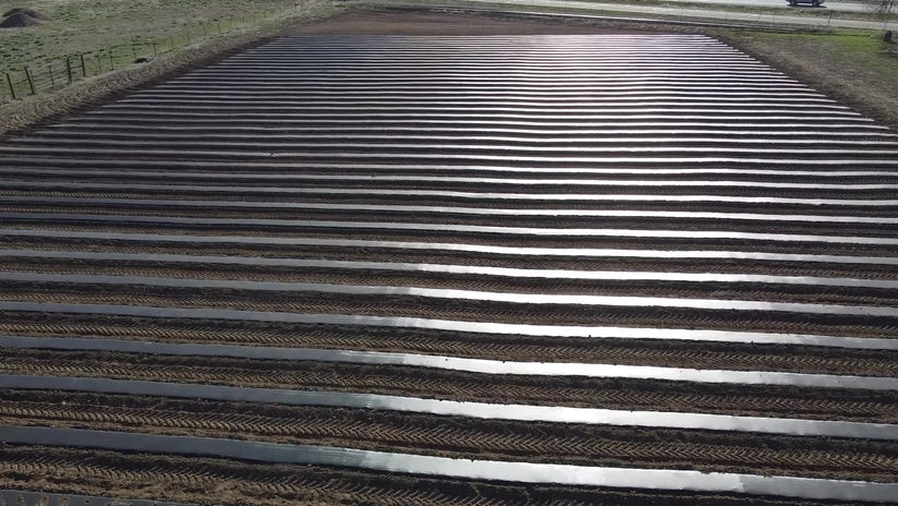 2023 Plastic Mulched Field